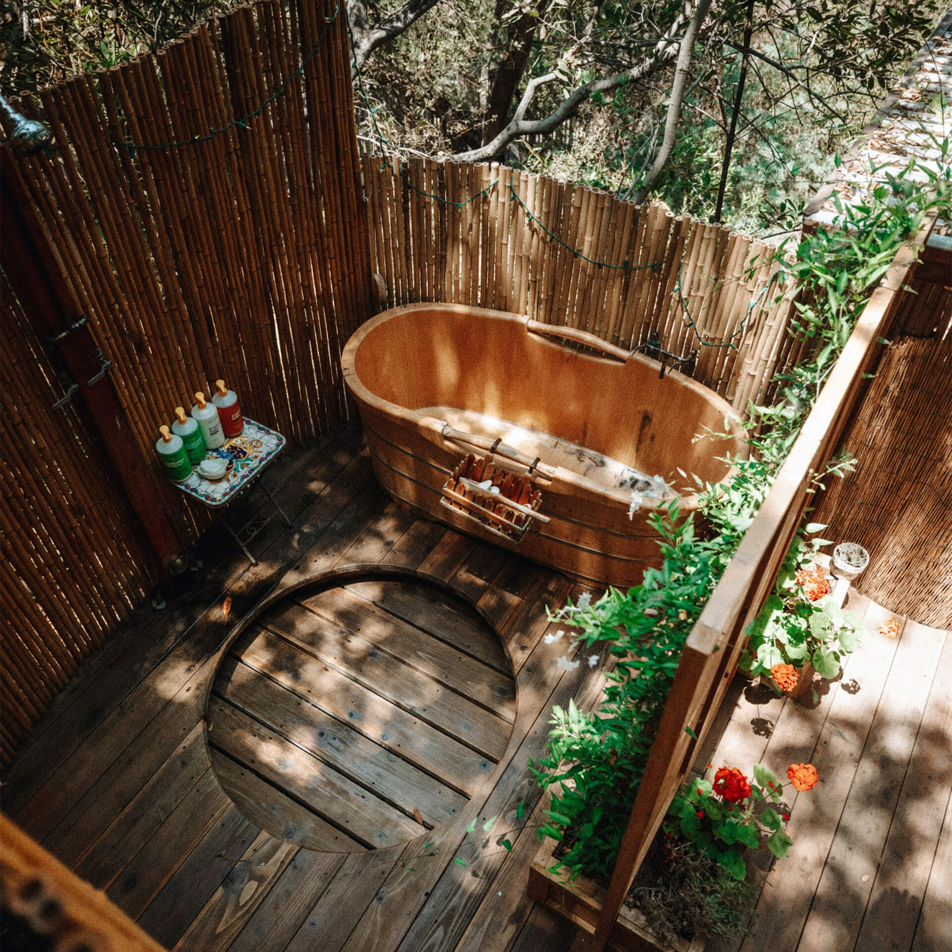 Wooden Habitation